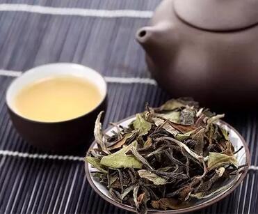 白茶素有“一年茶、三年药、七年宝”之称,如何