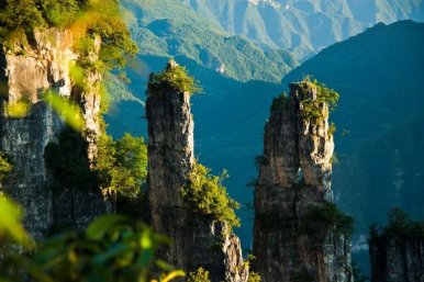 武陵画廊·宜红故里  探索世界茶旅之乡