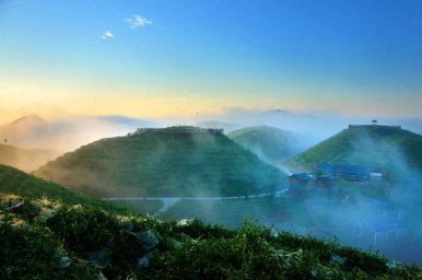 东方美人茶园二日游