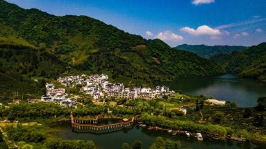 太平猴魁茶乡风情游