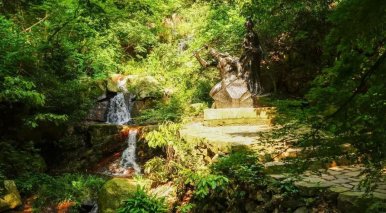 莫干山石颐茶旅二日游