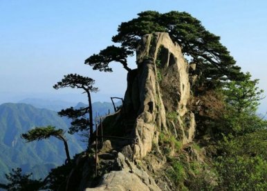 魅力茶乡-舒城小兰花茶谷