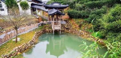 钱江源国家公园龙顶茶香风情二日游