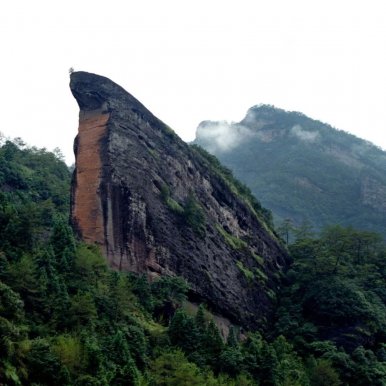 武夷山景区岩骨花香慢游道