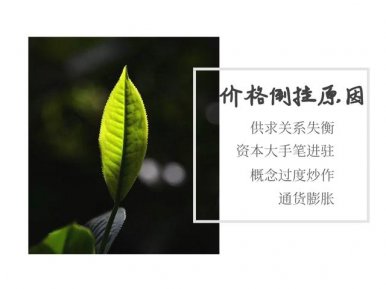普洱中期茶和新茶价格为何会倒挂？